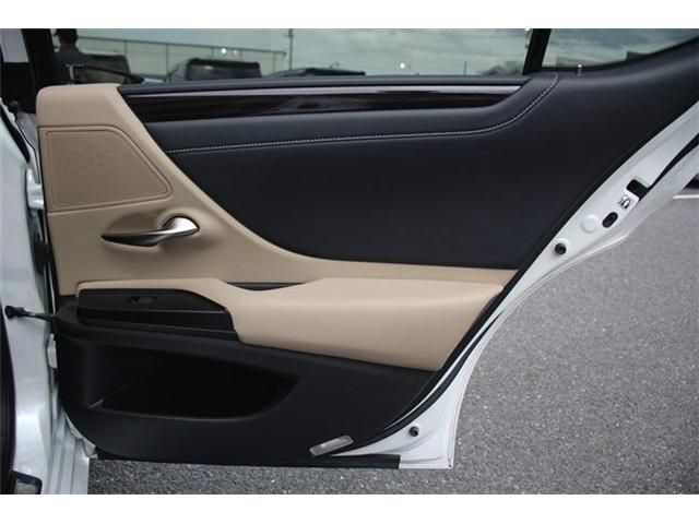 TOYOTA LEXUS ES300H 2019 Image 31