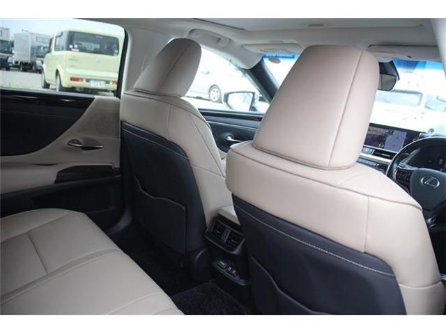 TOYOTA LEXUS ES300H 2019 Image 31