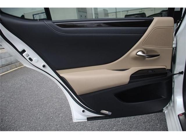 TOYOTA LEXUS ES300H 2019 Image 31