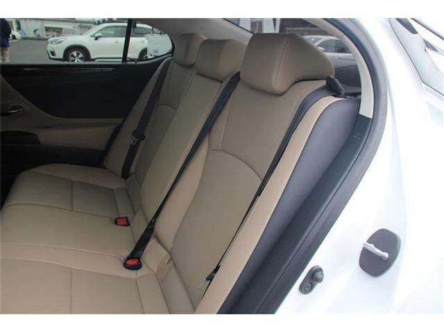 TOYOTA LEXUS ES300H 2019 Image 31