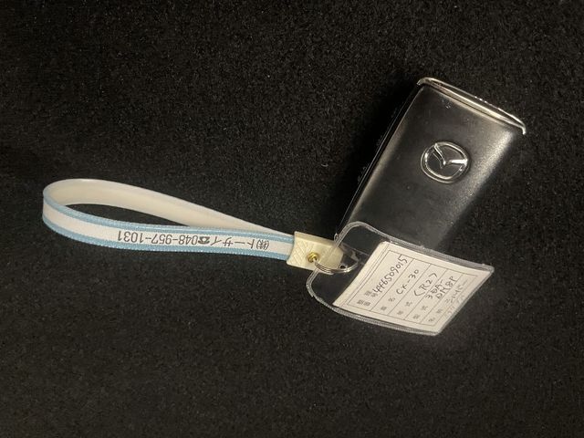 MAZDA CX-30 2020 Image 31