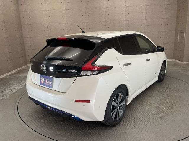 NISSAN LEAF 2019 Image 31