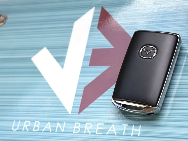 MAZDA CX-60 2023 Image 31