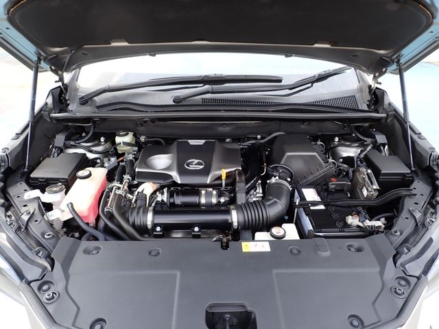 TOYOTA LEXUS NX300 2018 Image 31