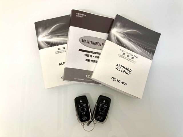 TOYOTA ALPHARD HYBRID 4WD 2018 Image 31