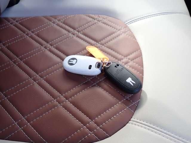 SUZUKI ALTO LAPIN CHOCOLAT 2014 Image 31