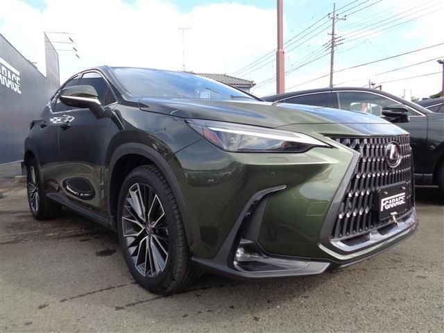 TOYOTA LEXUS NX350H 2022 Image 31
