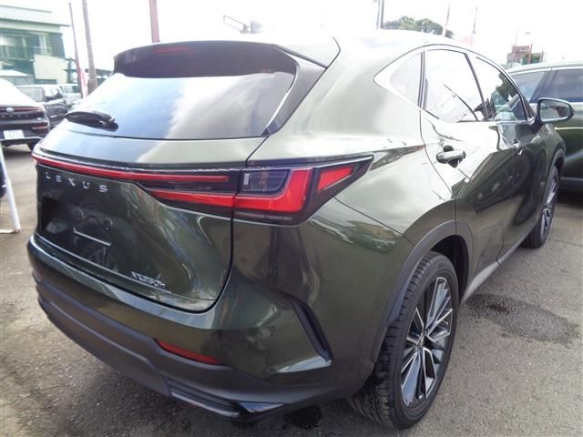 TOYOTA LEXUS NX350H 2022 Image 31