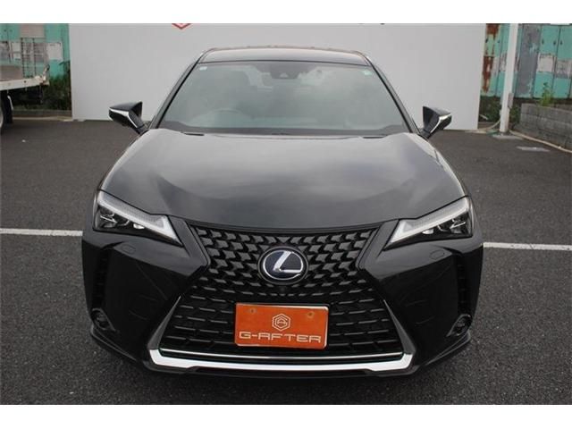TOYOTA LEXUS UX250H 2019 Image 31