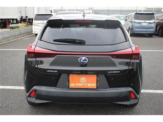 TOYOTA LEXUS UX250H 2019 Image 31