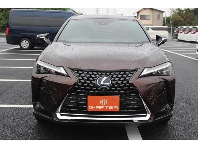 TOYOTA LEXUS UX250H 2019 Image 31