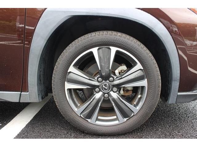 TOYOTA LEXUS UX250H 2019 Image 31