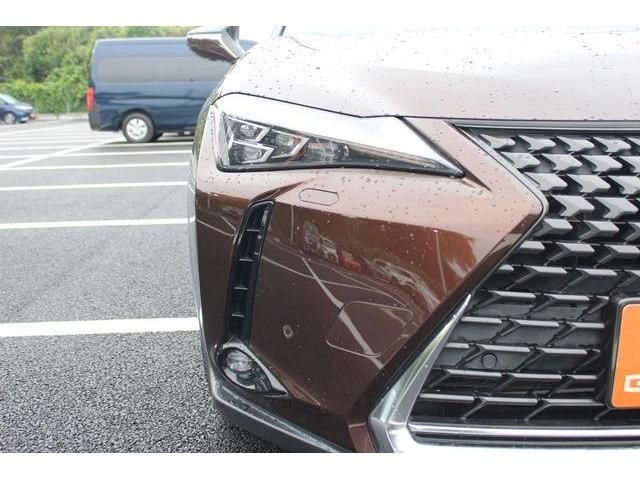 TOYOTA LEXUS UX250H 2019 Image 31