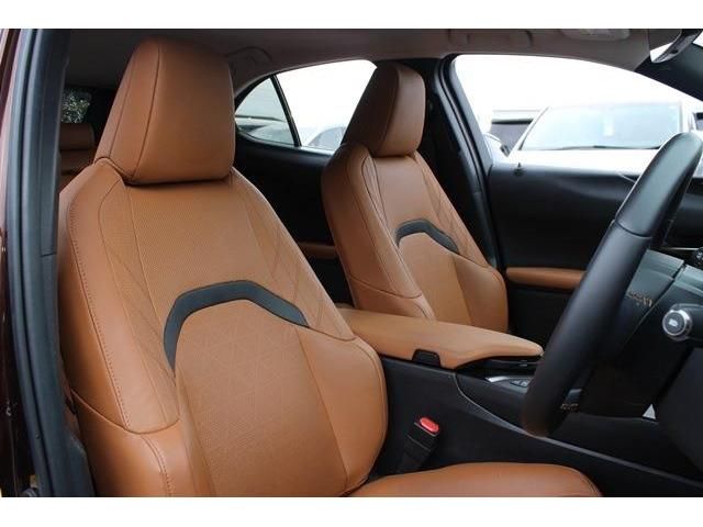 TOYOTA LEXUS UX250H 2019 Image 31