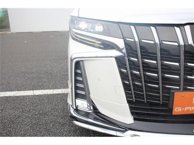 TOYOTA ALPHARD 2018 Image 31