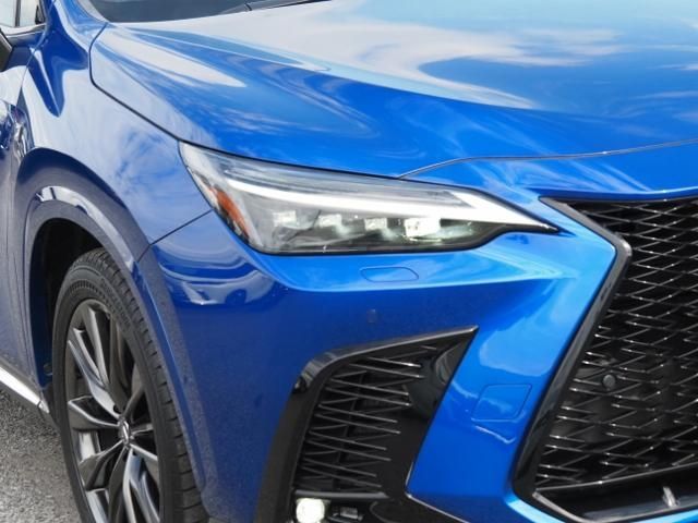 TOYOTA LEXUS NX450H+ AWD 2023 Image 31