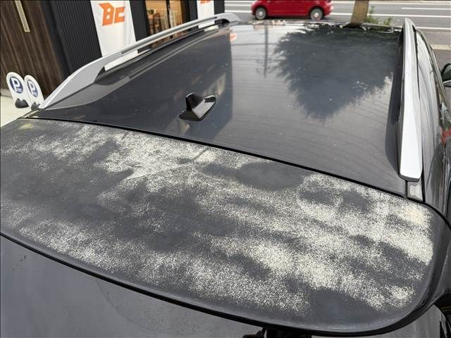 TOYOTA LEXUS RX450H AWD 2009 Image 31