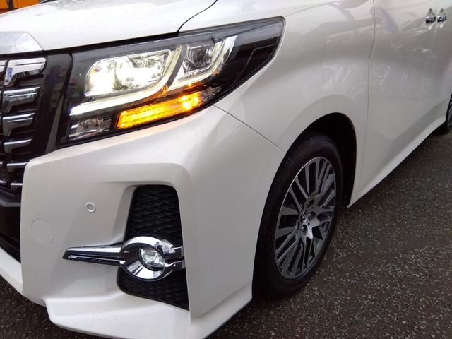 TOYOTA ALPHARD 2016 Image 31