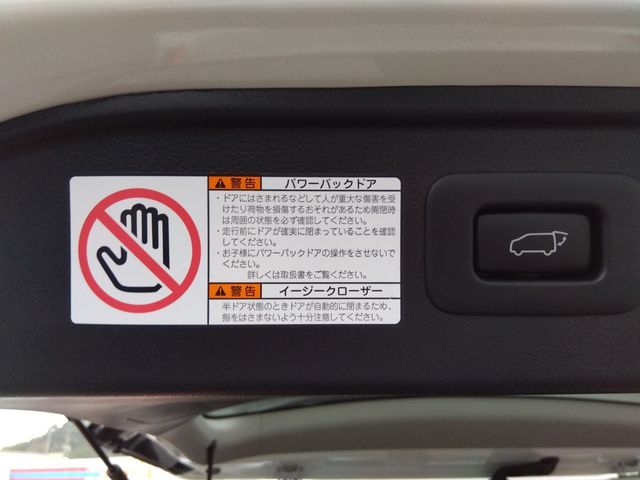 TOYOTA ALPHARD 2016 Image 31