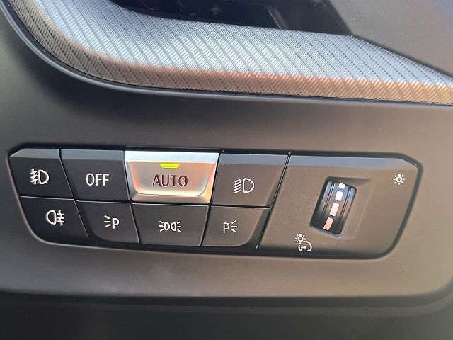 BMW 1SERIES 2019 Image 31