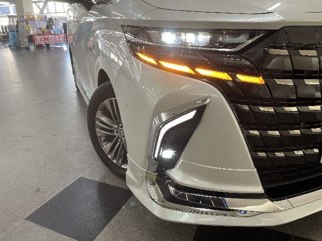 TOYOTA ALPHARD 2024 Image 31