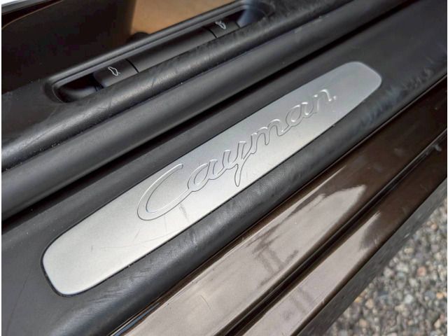 PORSCHE CAYMAN 2011 Image 31