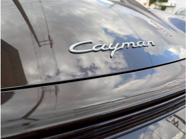 PORSCHE CAYMAN 2011 Image 31