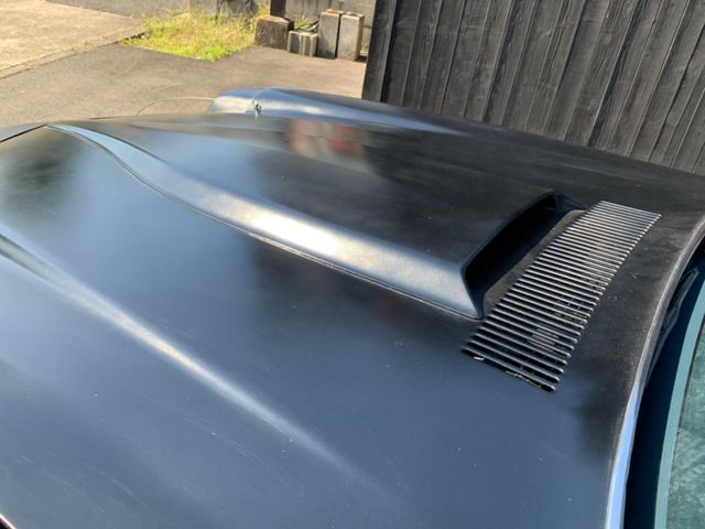 CHEVROLET CAMARO 1979 Image 31