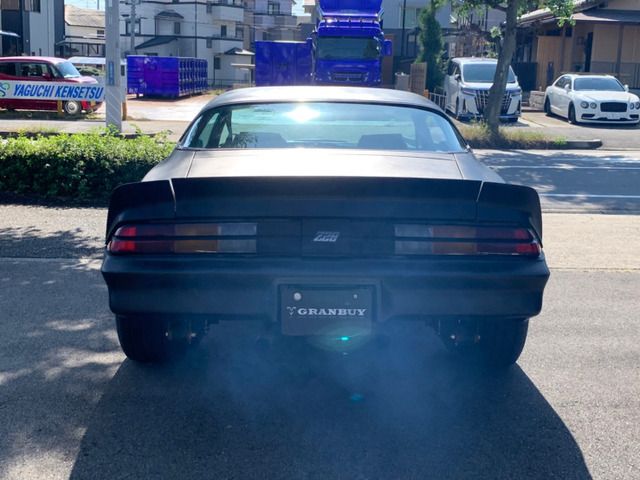 CHEVROLET CAMARO 1979 Image 31