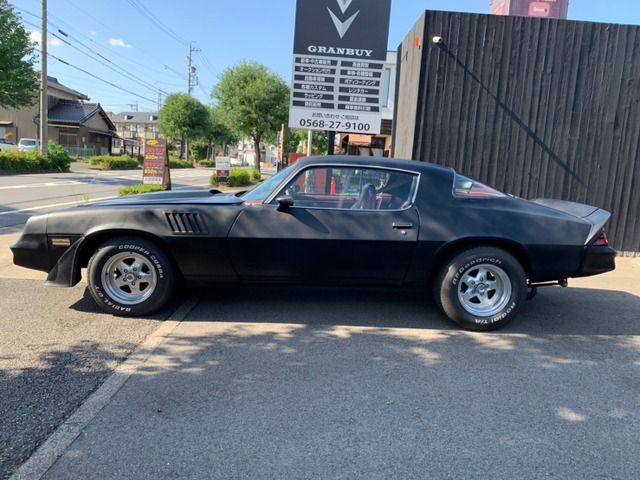 CHEVROLET CAMARO 1979 Image 31