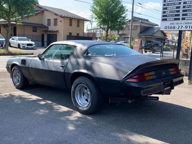 CHEVROLET CAMARO 1979 Image 31