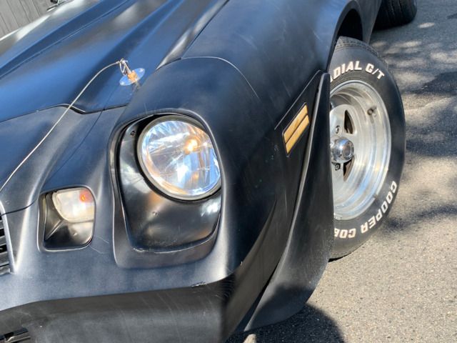 CHEVROLET CAMARO 1979 Image 31