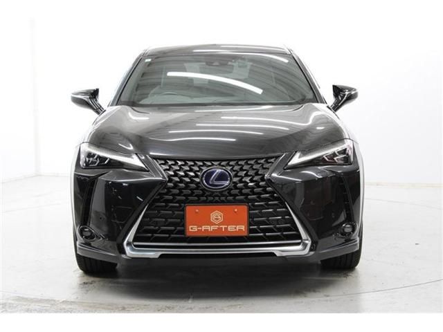 TOYOTA LEXUS UX250H 2019 Image 31