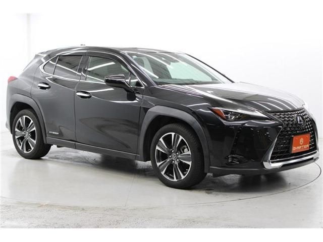TOYOTA LEXUS UX250H 2019 Image 31