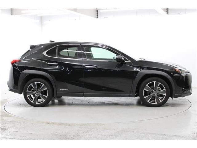 TOYOTA LEXUS UX250H 2019 Image 31
