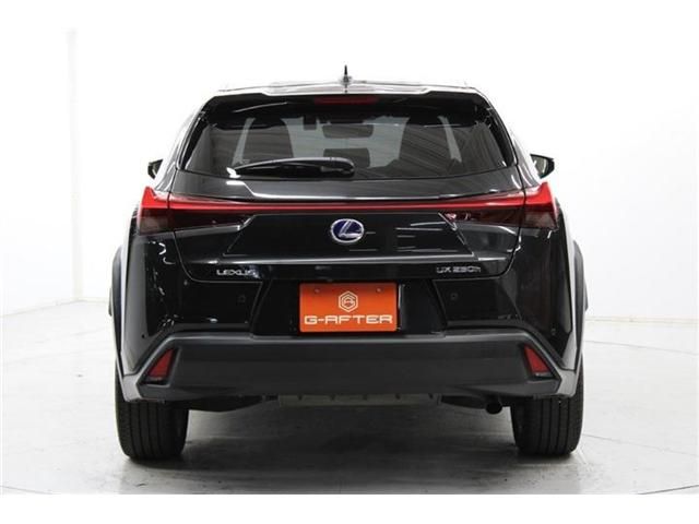 TOYOTA LEXUS UX250H 2019 Image 31