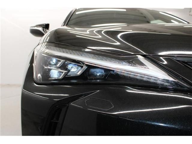 TOYOTA LEXUS UX250H 2019 Image 31