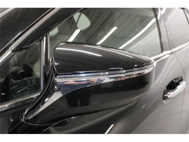 TOYOTA LEXUS UX250H 2019 Image 31