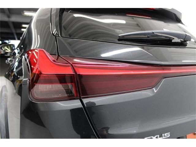 TOYOTA LEXUS UX250H 2019 Image 31