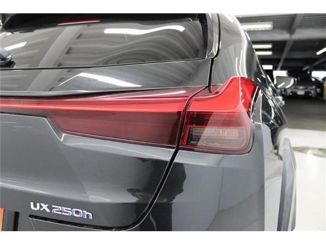 TOYOTA LEXUS UX250H 2019 Image 31