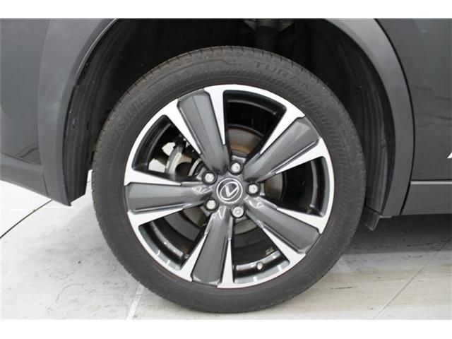 TOYOTA LEXUS UX250H 2019 Image 31