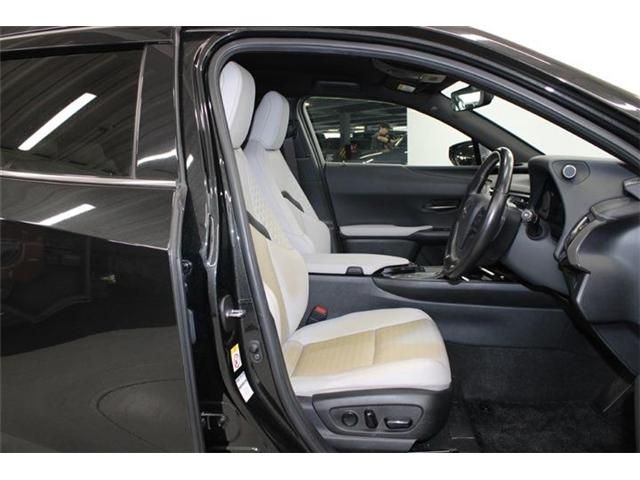 TOYOTA LEXUS UX250H 2019 Image 31