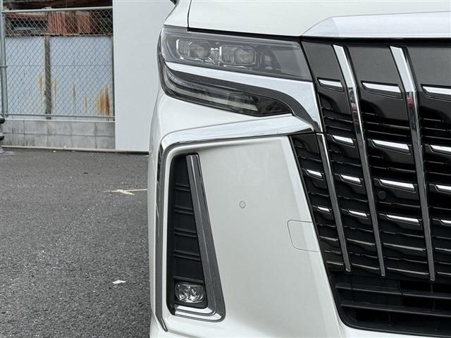 TOYOTA ALPHARD 2020 Image 31