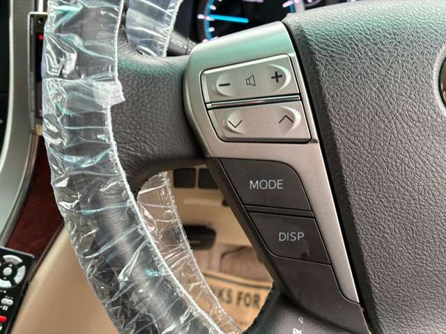 TOYOTA ALPHARD 2009 Image 31