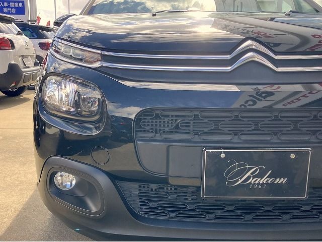 CITROEN C3 2020 Image 31