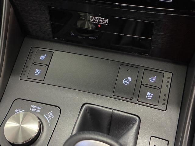 TOYOTA LEXUS IS300H 2022 Image 31