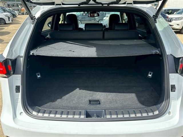 TOYOTA LEXUS NX300H 2019 Image 31