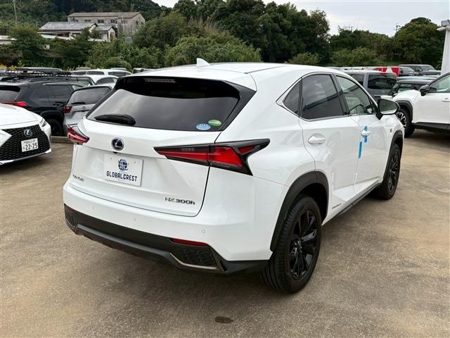 TOYOTA LEXUS NX300H 2019 Image 31