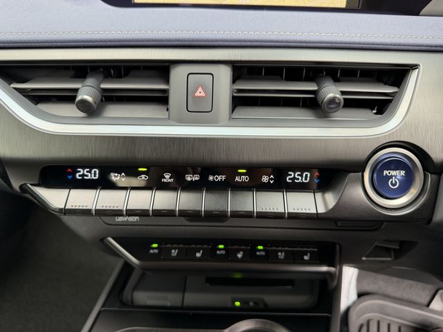 TOYOTA LEXUS UX250H 2022 Image 31