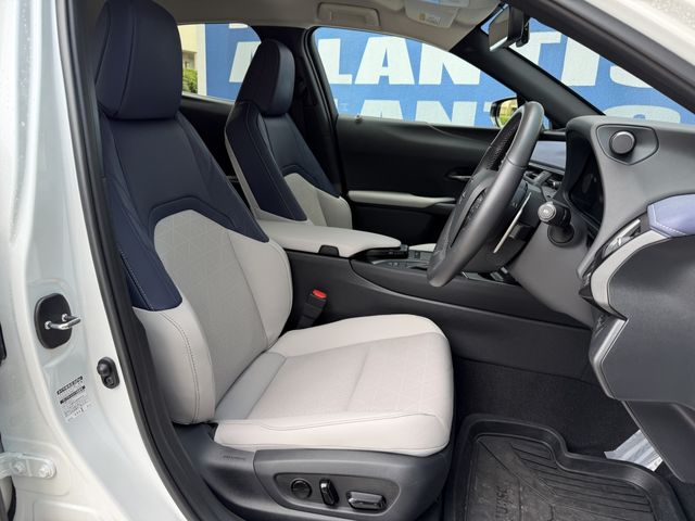 TOYOTA LEXUS UX250H 2022 Image 31